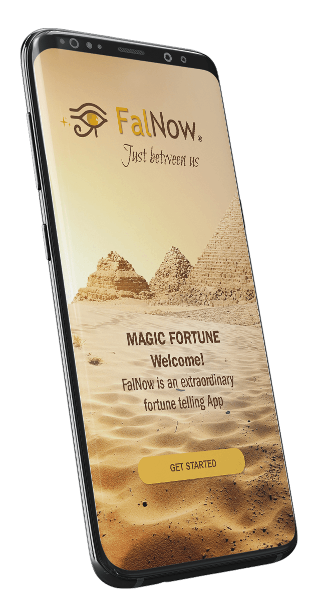 FalNow app screen left