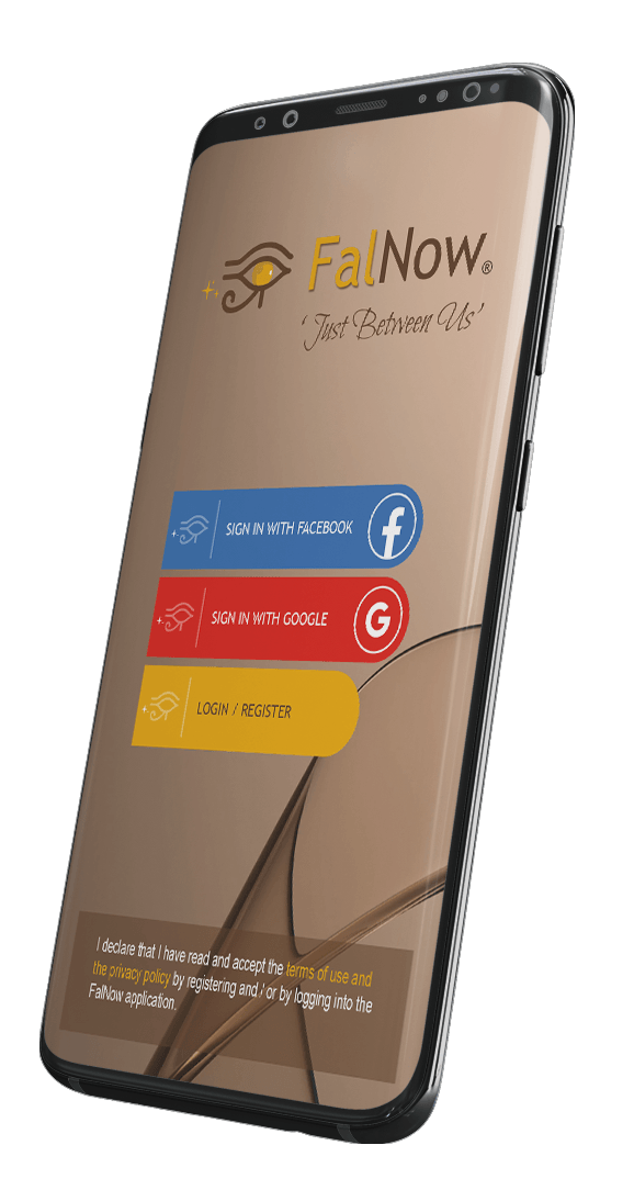 FalNow app screen right